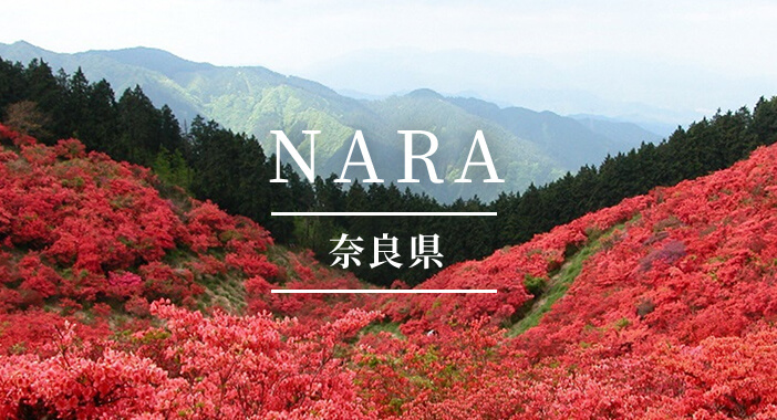 Nara Pref.(NARA)