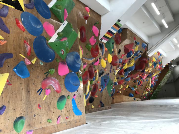<font color='blue' size='2'>The bouldering wall on Kurayoshi SC Center</font>