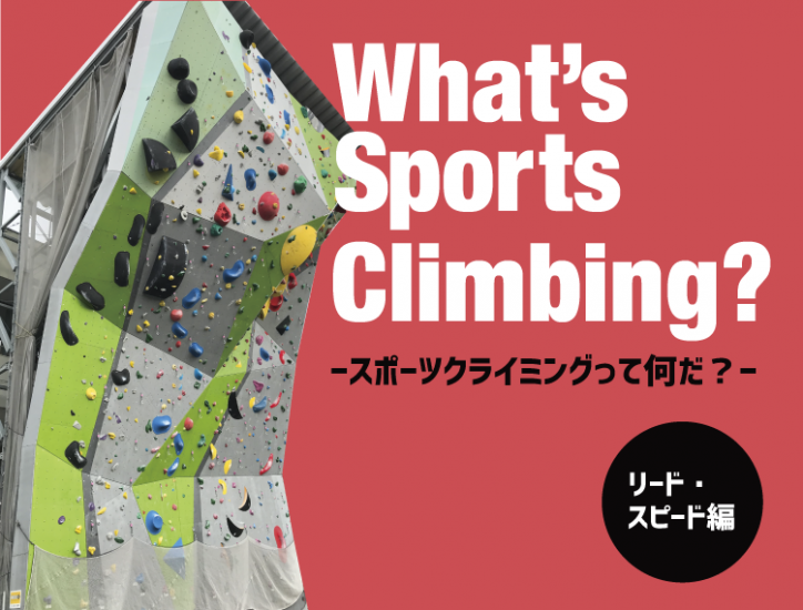 What’s sports climbing？（スポーツクライミングって何だ？）～リード・スピード編～